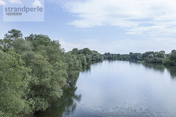 Donau-Auen bei Neustadt  Bayern  Deutschland