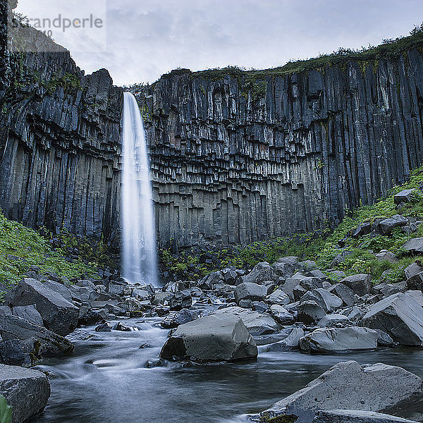 Niedriger Blickwinkel auf den Wasserfall Svartifoss  Skaftafell  Vatnajokull-Nationalpark  Island