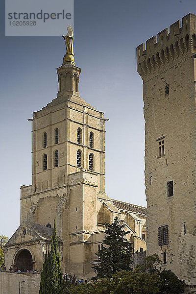 Kathedrale  Avignon  Provence  Frankreich