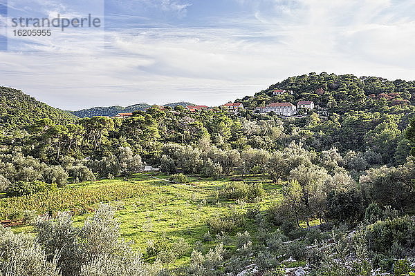 Blick auf die Hügel und das Dorf Govedari auf der Insel Mljet  Kroatien