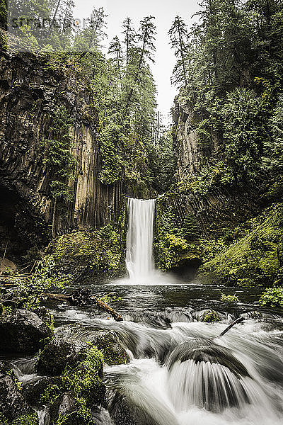 Blick auf die Toketee Falls; Umpqua National Forest  Oregon  USA