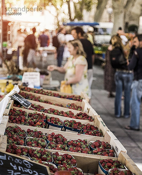 Erdbeeren an einem Obst- und Gemüsestand auf dem Marktplatz  Avignon  Provence  Frankreich