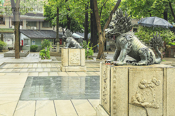 Seitenansicht von Löwenstatuen auf Sockeln  Foshan Ancestral Temple  Foshan  China