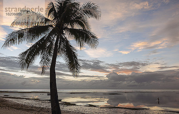 Anda Beach bei Sonnenuntergang  Insel Bohol  Visayas  Philippinen