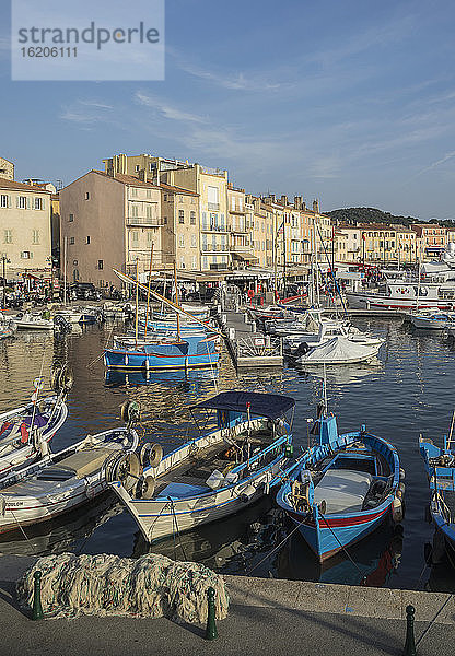 Fischerboote im Hafen von St. Tropez  Provence  Frankreich