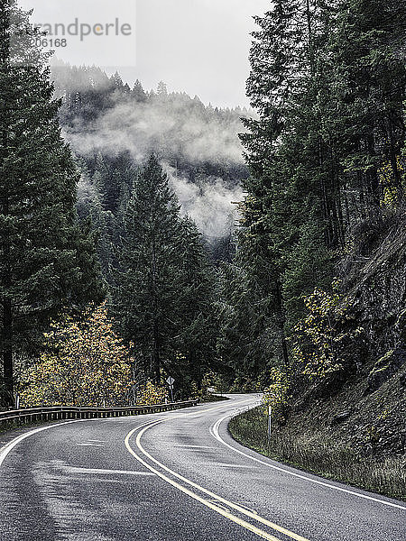 Kurvenreiche Straße im Umpqua National Forest  Oregon  USA