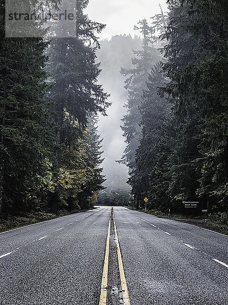 Umpqua National Forest Highway und Nebel  Oregon  USA