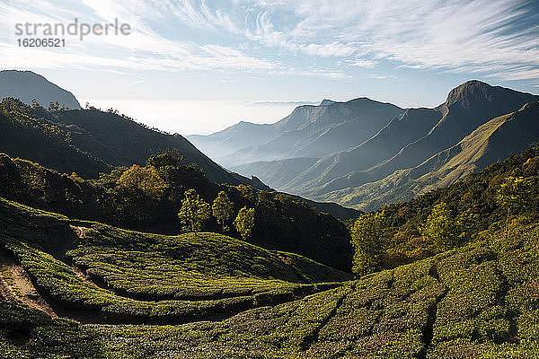 Bergstation in der Morgendämmerung  Kerala  Indien