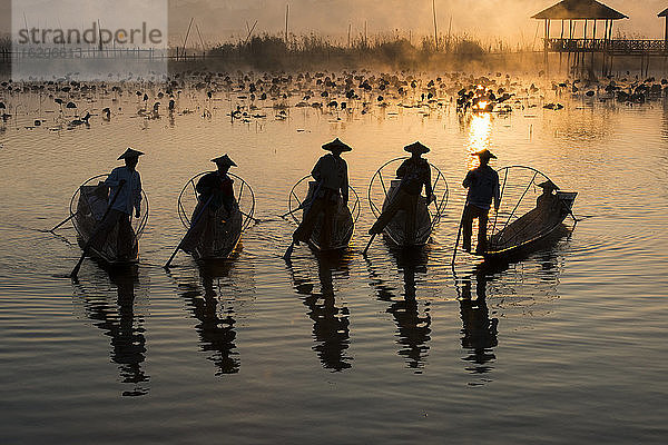 Fischer beim Fischen mit traditionellen Fangtechniken in der Abenddämmerung  Inle-See  Shan-Staat  Myanmar