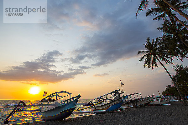 Fischerboot und Palmen bei Sonnenuntergang am Strand von Senggigi  Lombok  Indonesien  mit Silhouette