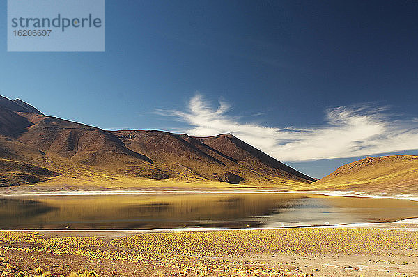 Altiplano  San Pedro de Atacama  Chile