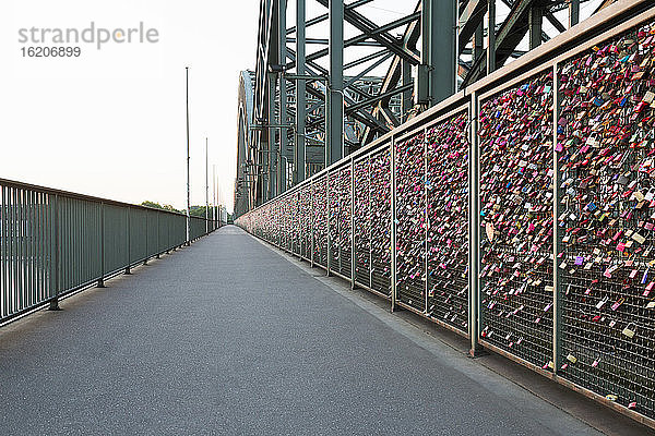 Reichlich Liebesschlösser am Zaun der Hohenzollernbrücke  Köln  Deutschland