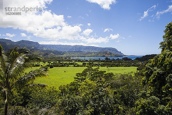 malerische Landschaft  Kauai  Hawaii