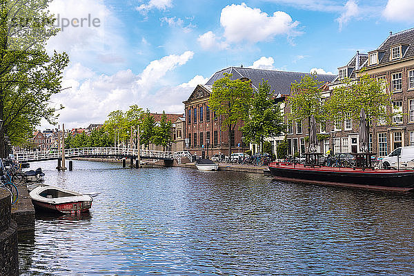 Oude Vest  Kanal in der Altstadt von Leiden mit historischen Häusern im Hintergrund  Leiden  Süd-Holland  Niederlande  Europa