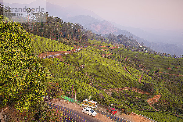 Straße schlängelt sich durch die Teeplantagen von Munnar  Munnar  Kerala  Indien  Asien