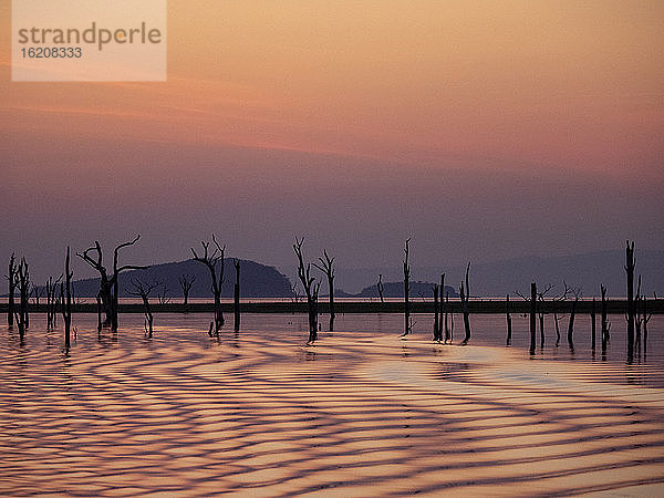 Sonnenuntergang über dem Kariba-See  dem volumenmässig grössten von Menschenhand geschaffenen See und Stausee der Welt  Simbabwe  Afrika