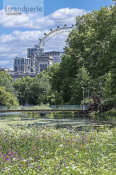 Frühlingsblumen im königlichen Park mit dem London Eye und Gebäuden in Whitehall  St. James's Park  Westminster  London  England  Vereinigtes Königreich  Europa