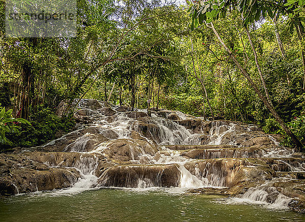 Dunn's River Falls  Ocho Rios  St. Ann Parish  Jamaika  Westindische Inseln  Karibik  Mittelamerika