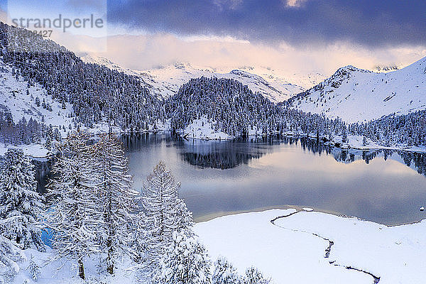 Sonnenaufgang über dem Cavloc-See nach einem Schneefall  Bergell  Engadin  Kanton Graubünden  Schweiz  Europa