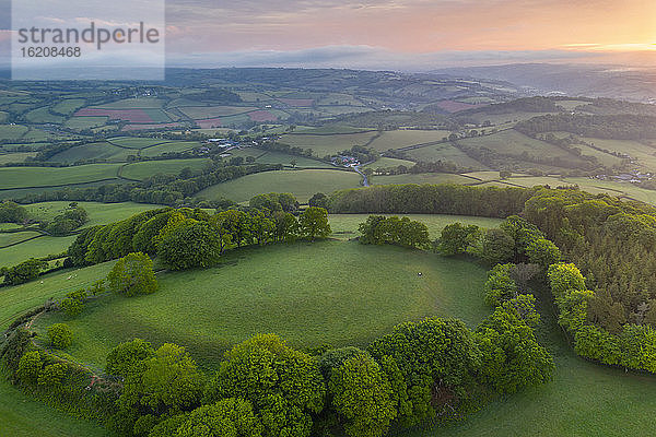 Cadbury Castle Iron Age Hillfort in der Morgendämmerung des Frühlings  Cadbury  Devon  England  Vereinigtes Königreich  Europa