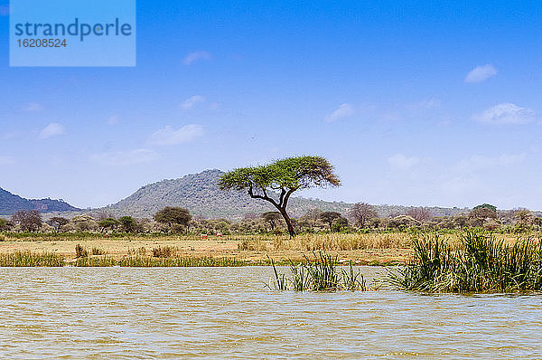 Ufer des Lake Jipe  Tsavo-West-Nationalpark  Kenia  Ostafrika  Afrika