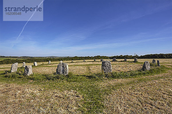 Prähistorischer Steinkreis  Merry Maidens  auf einem Feld in der Nähe von Mousehole  bei Penzance  Westcornwall  England  Vereinigtes Königreich  Europa