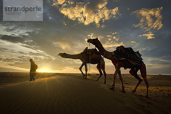 Ein Kamelhändler in den berühmten Sam-Sanddünen in der Region Jaisalmer im Bundesstaat Rajasthan  Indien  Asien