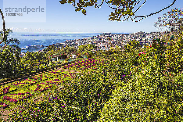 Botanische Gärten  Monte  Funchal  Madeira  Portugal  Atlantik  Europa