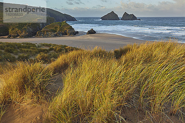Sanddünen in Holywell Bay  ein Ort  der durch das BBC-Drama Poldark berühmt wurde  in der Nähe von Newquay  Nordkornwall  England  Vereinigtes Königreich  Europa