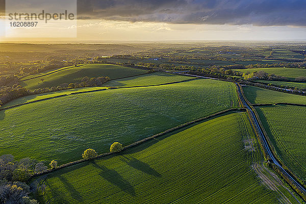 Luftaufnahme einer hügeligen Landschaft im Abendlicht  Livaton  Devon  England  Vereinigtes Königreich  Europa