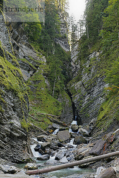 Österreich  Vorarlberg  Blick auf den Wasserfall im Bregenzer Wald