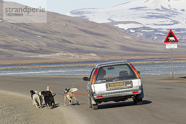 Europa  Norwegen  Spitzbergen  Svalbard  Longyearbyen  Husky-Hunde ziehen Auto in der Nähe des Warnschildes