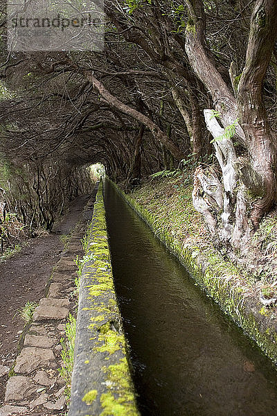 Portugal  Madeira  Levada  traditionelle Kanalbewässerung