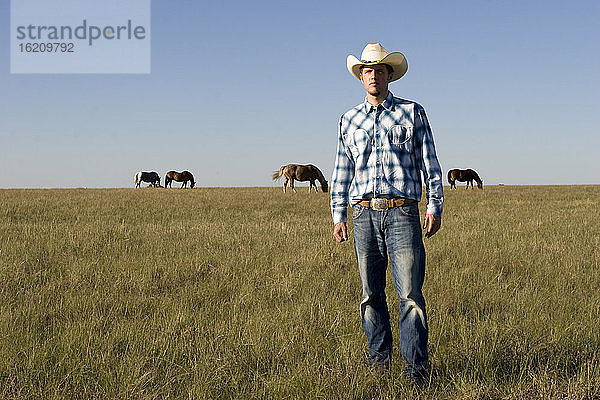 USA  Texas  Dallas  Cowboy auf der Weide stehend