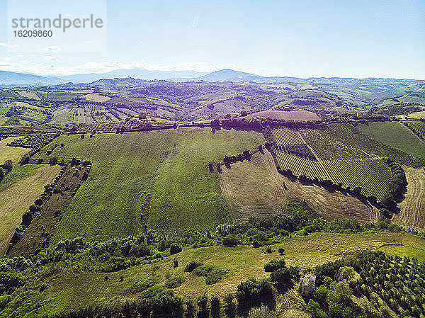 Italien  Marken  Luftaufnahme einer grünen Landschaft im Sommer