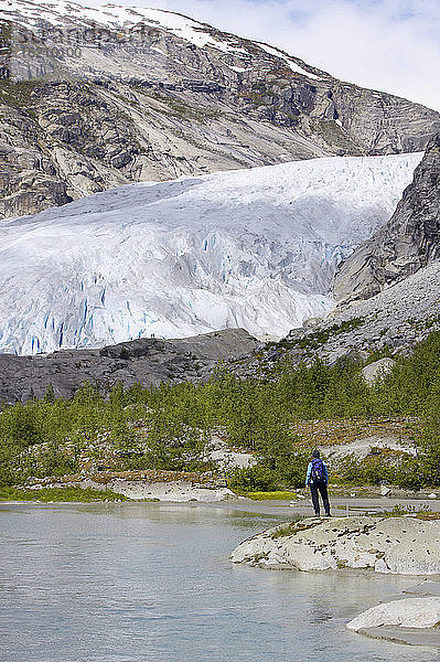 Norwegen  Nigardsbreen  Gletscherzunge  Wanderer am Ufer  Rückansicht