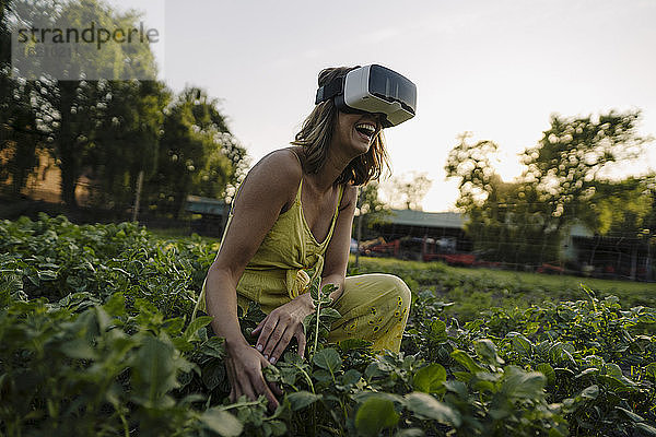 Lachende junge Frau mit VR-Brille in einem Gemüsebeet auf dem Lande