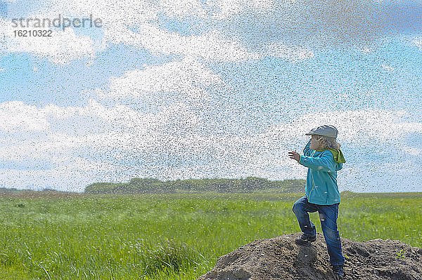 Deutschland  Mecklenburg Vorpommern  Junge spielt mit Stechmücken