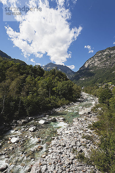 Europa  Schweiz  Blick auf den Verzasca-Fluss