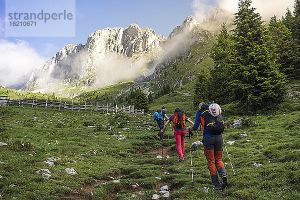 Ältere männliche Wanderer  die auf einem grasbewachsenen Berg wandern  Bergamasker Alpen  Italien