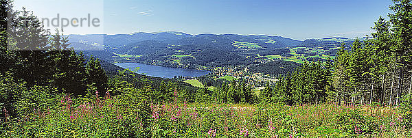 Deutschland  Baden-Württemberg  Schwarzwald  Titisee im Hintergrund