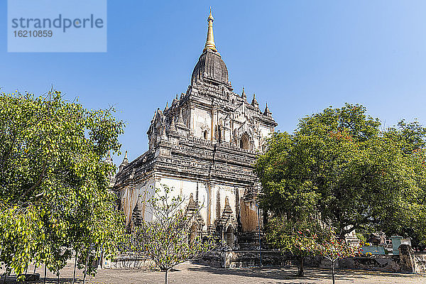 Myanmar  Mandalay-Region  Bagan  Bäume vor dem Manuha-Tempel