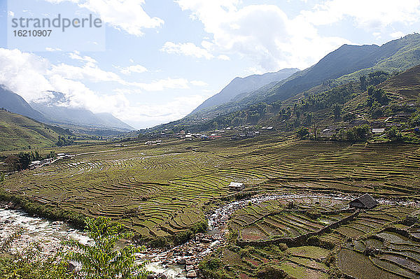 Vietnam. Blick auf ein Reisfeld