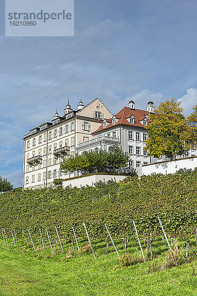 Deutschland  Baden Württemberg  Blick auf Schloss Kirchberg mit Weinberg