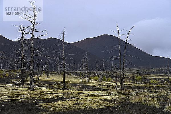 Russland  Blick auf den Vulkan Tolbachik in der Nähe des toten Waldes