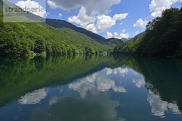 Montenegro  Blick auf den Biogradsee im Nationalpark Biogradsko Jezero