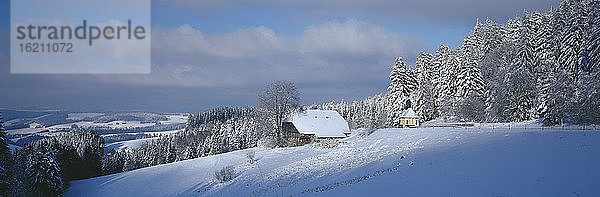 Deutschland  Baden-Württemberg  Schwarzwald  Breitnau  Schneelandschaft