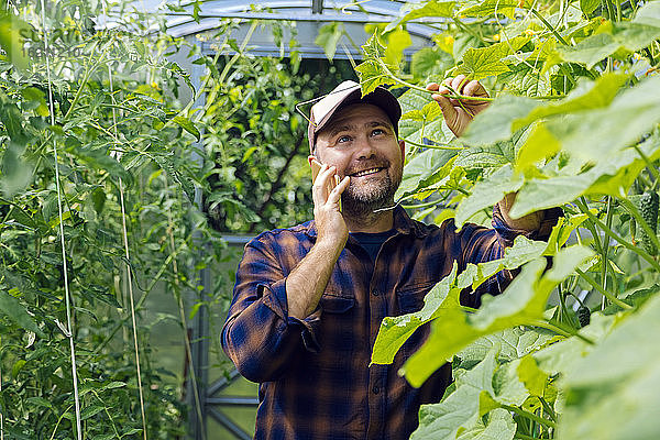 Porträt eines lächelnden Landwirts beim Telefonieren in einem Gewächshaus