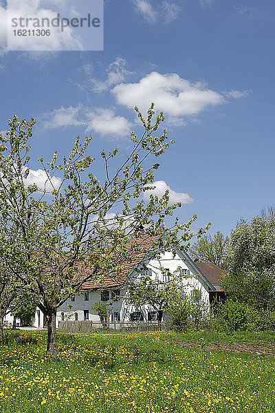 Deutschland  Ansicht des Bauernhauses Museum Jexhof