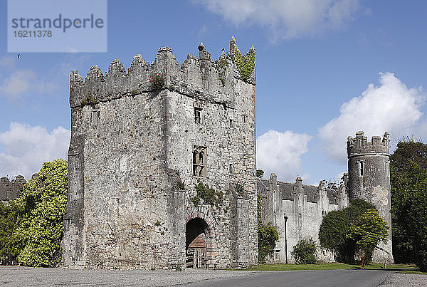 Irland  Leinster  Grafschaft Fingal  Ansicht der Burg Corr